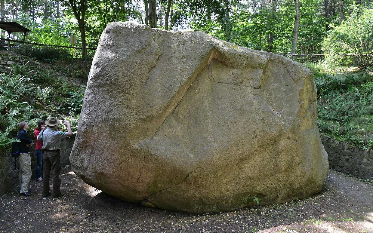 7,30 Meter lang, 5,25 Meter breit und 4,52 Meter hoch - das ist der "Kobbelner Stein" im Naturpark Schlaubetal.
