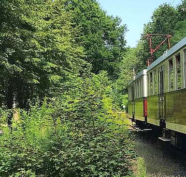 Buckower Kleinbahn