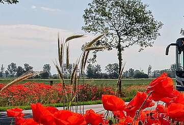Havelbus in der Natur