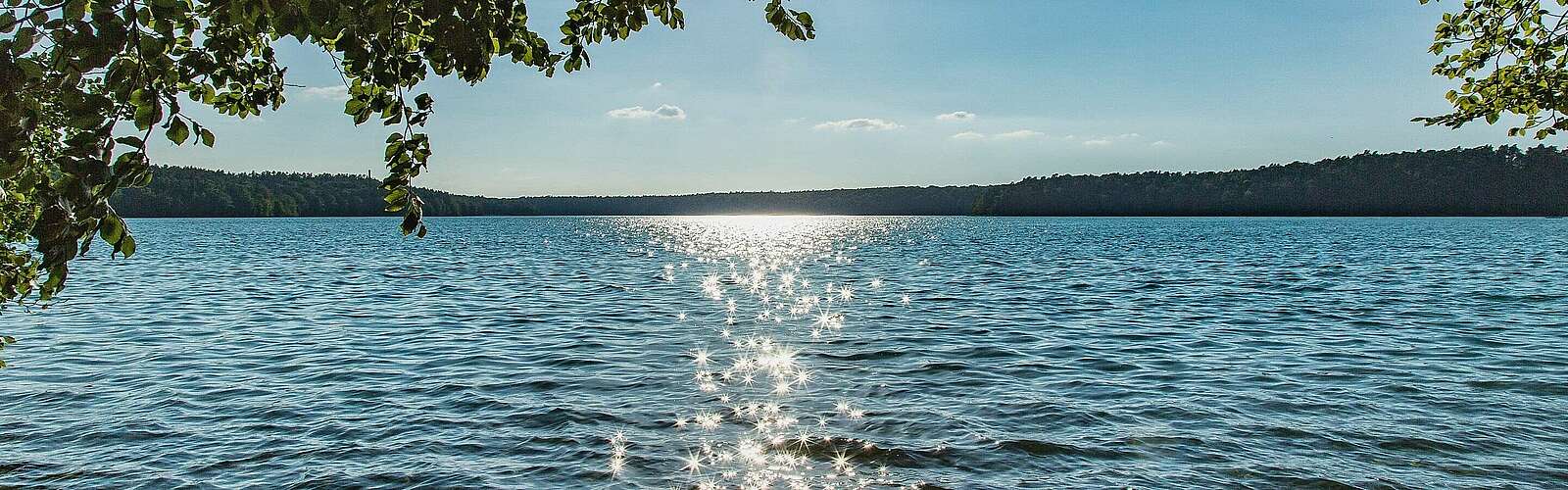 Stechlinsee,
            
        
                Foto: TMB Tourismus-Marketing Brandenburg GmbH/Steffen Lehmann