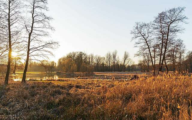 Winterlicher Spreewald zwischen Lübbenau und Lehde