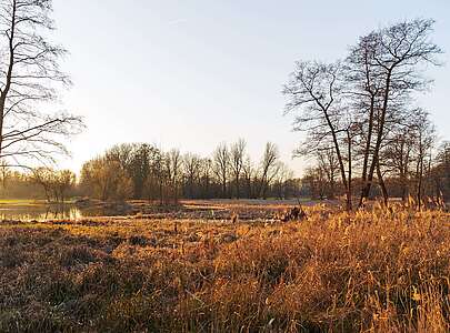 Winterlicher Spreewald zwischen Lübbenau und Lehde