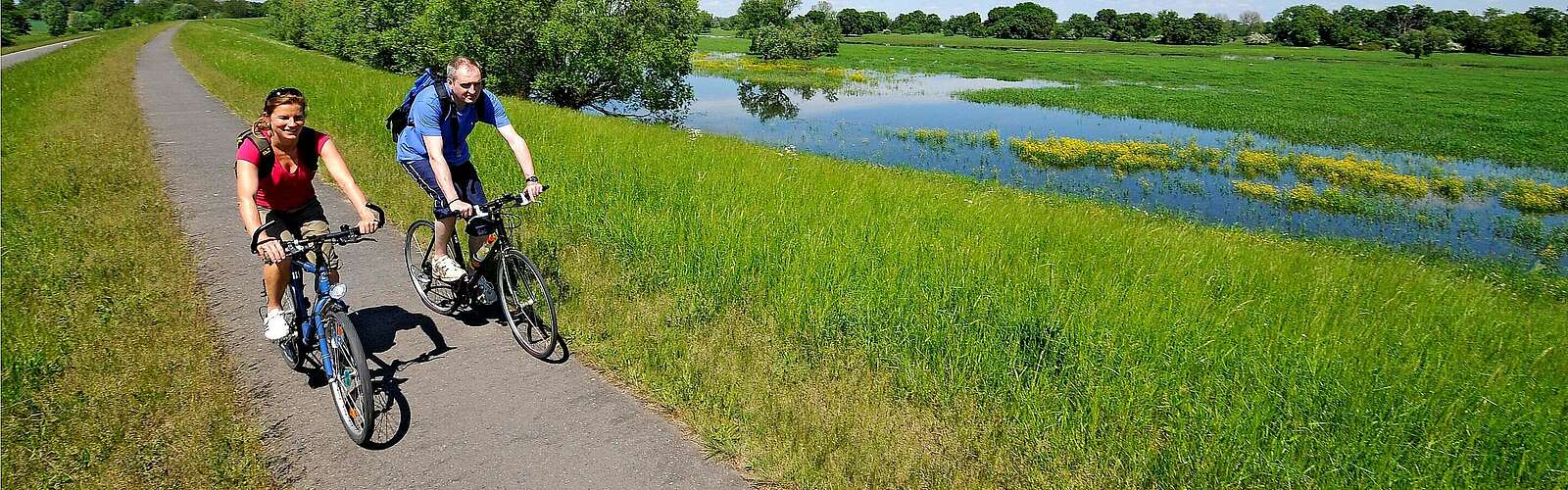 Radler auf dem Oder-Neiße-Radweg,
            
        
                Foto: TMB Tourismus-Marketing Brandenburg GmbH/Carsten Rasmus