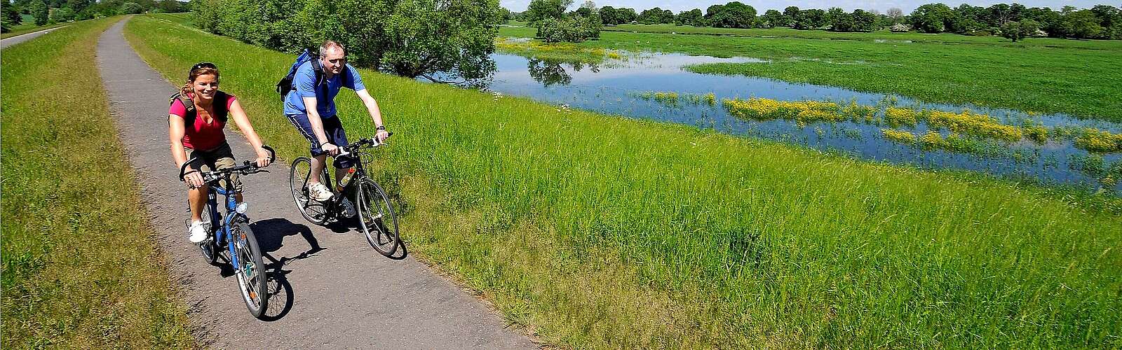 Radler auf dem Oder-Neiße-Radweg