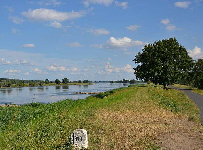 An der Oder bei Bienenwerder
