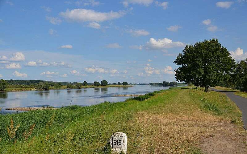 



    
        
                An der Oder bei Bienenwerder,
            
        
                Foto: TMB Tourismus-Marketing Brandenburg GmbH/Matthias Schäfer
            
    
