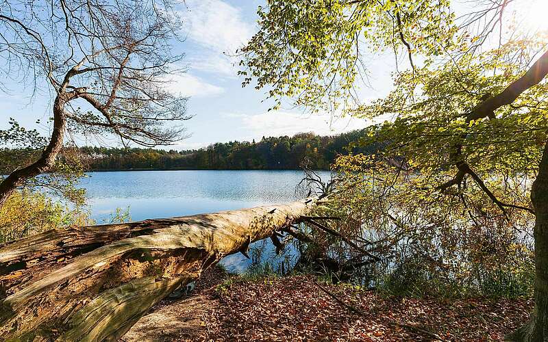 



        
            Herbst am Hellsee,
        
    

        Foto: Fotograf / Lizenz - Media Import/Steffen Lehmann
    