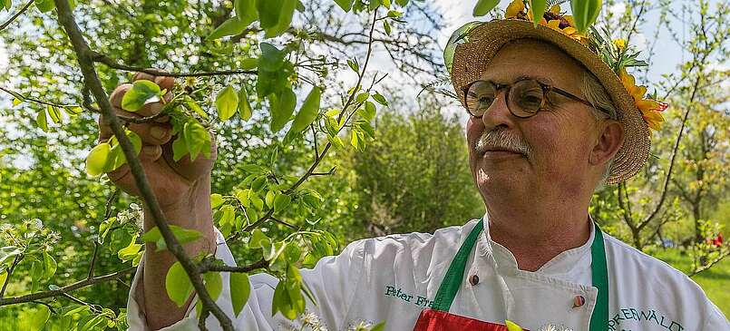 Spreewaldkoch Peter Franke: An die Kräuter, fertig, los!
