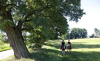 Reiten