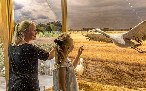 Ausstellung Heinz Sielmann Natur-Erlebniszentrum Wanninchen