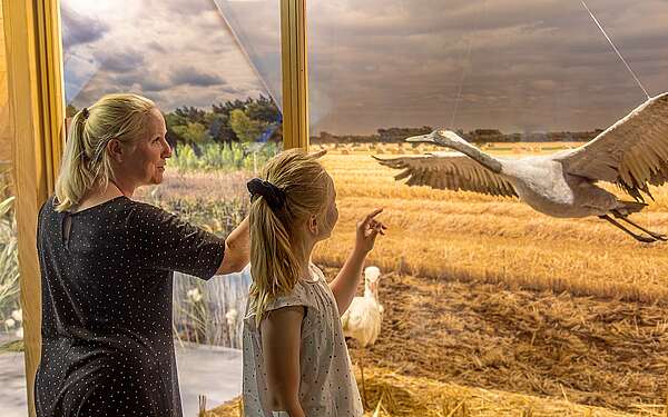 Ausstellung Heinz Sielmann Natur-Erlebniszentrum Wanninchen