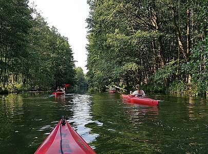 Kajaktour bei Schlepzig