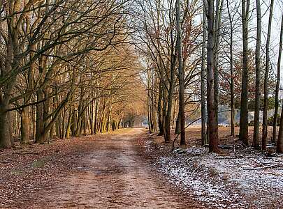 Wanderweg im Naturpark Nuthe-Nieplitz