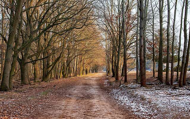 Wanderweg im Naturpark Nuthe-Nieplitz