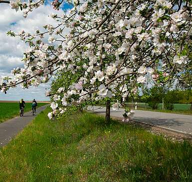 Radtouren im Frühling