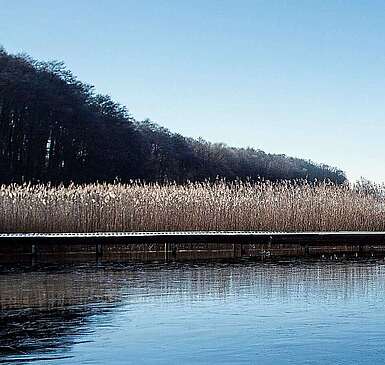 Winter am Oberuckersee