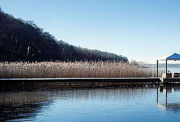 Winter am Oberuckersee