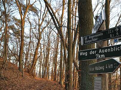 Densenberge Weg der Auenblicke