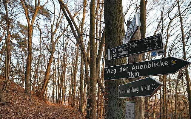 Densenberge Weg der Auenblicke