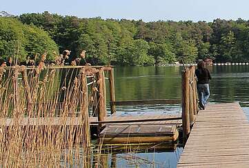 Steg am Großen Stechlinsee