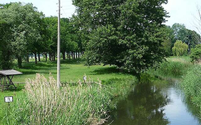 An der Alten Oder