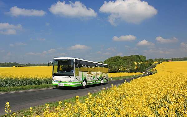 Burgenbus im Fläming
