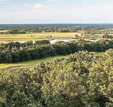 Blick über die Elbauen