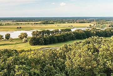 Prignitz: Naturerlebnisse an der Elbe