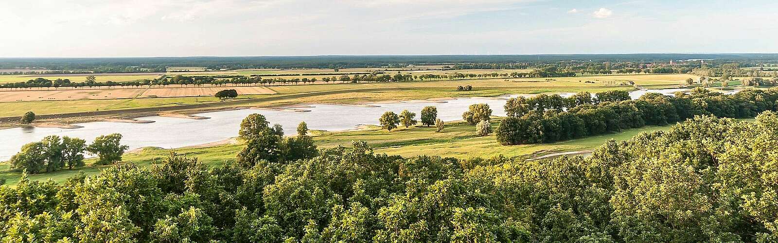 Blick über die Elbauen,
            
        
                Foto: TMB Tourismus-Marketing Brandenburg GmbH/Dieter Damschen