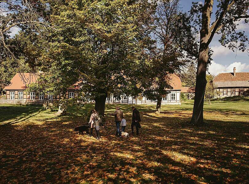 Spaziergang mit Hunden in Glashütte