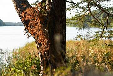 Wandern