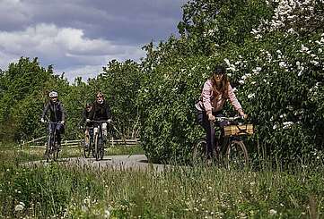 Radtour im Löwenberger Land