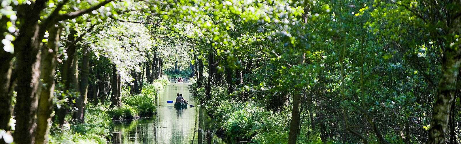 Paddler auf einem Spreewaldfließ,
            
        
                Foto: TMB Tourismus-Marketing Brandenburg GmbH/Paul Hahn