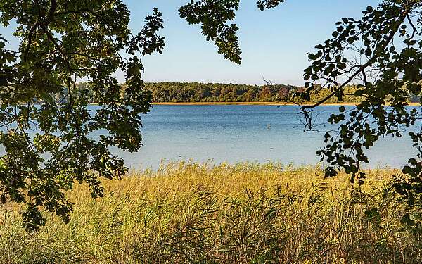 Seddiner See