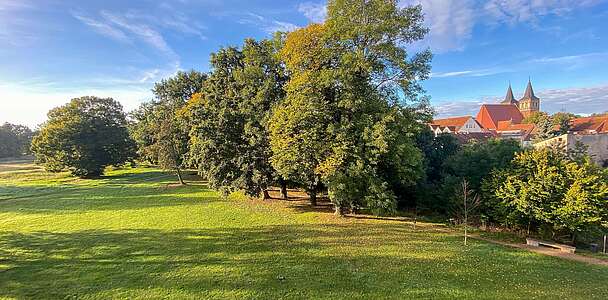 Schlosspark Baruth