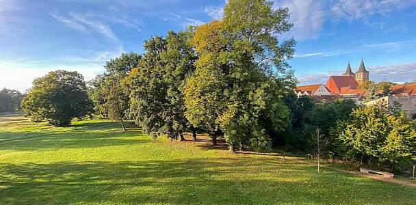 Schlosspark_und_Kirche.jpg