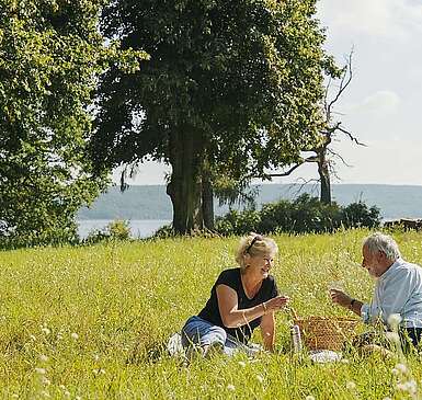 Picknick auf der Blumenwiese