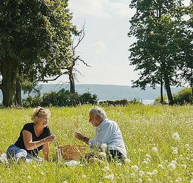 Picknick