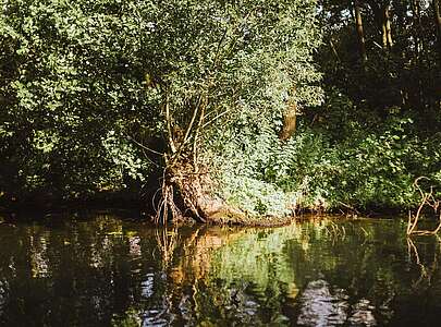 Floßtour auf dem Schwielochsee