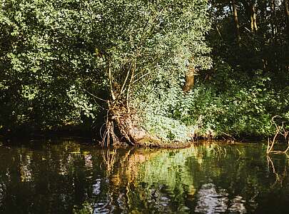Floßtour auf dem Schwielochsee
