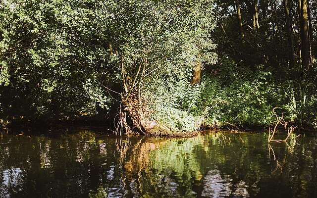 Floßtour auf dem Schwielochsee