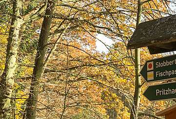 Wandern durch Kehlen und Schluchten