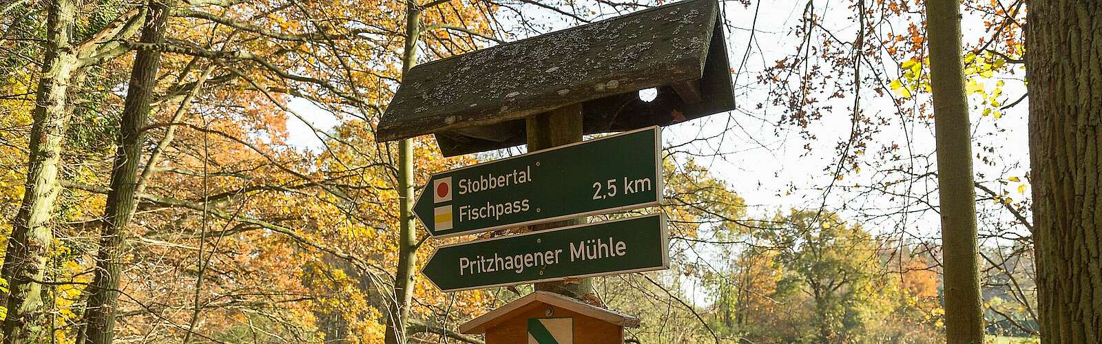 Naturparkroute Märkische Schweiz,
            
        
                Foto: TMB Tourismus-Marketing Brandenburg GmbH/Steffen Lehmann