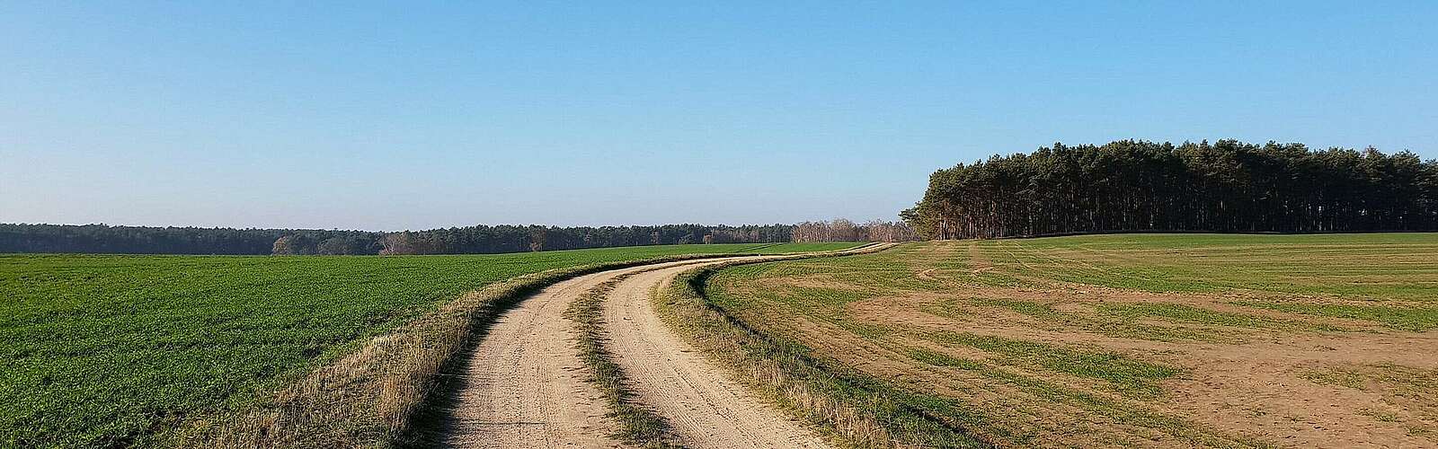 Feldweg im Naturpark Niederlausitzer Landrücken,
            
        
                Foto: TMB Tourismus-Marketing Brandenburg GmbH/Frank Meyer