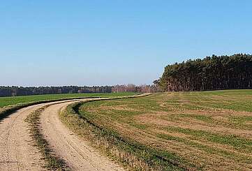 Feldweg im Naturpark Niederlausitzer Landrücken
