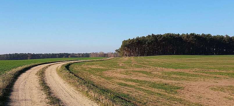Auf in den Märchenwald