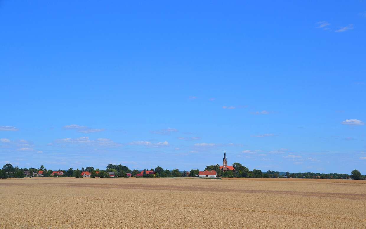 Blick auf das Dorf Neuküstrinchen im Oderbruch