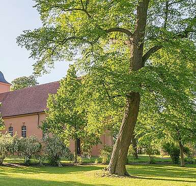 Auf den Spuren von Fontane in Ribbeck und Paretz