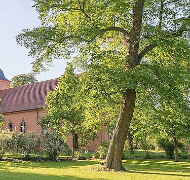 Dorfkirche Ribbeck