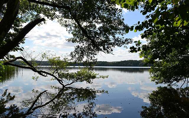 Naturpanorama Wolletzsee